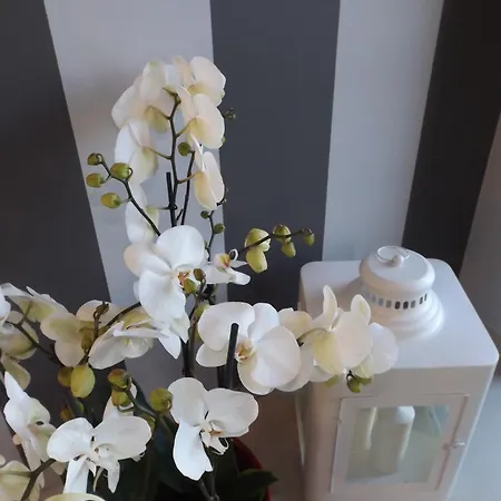 Apartament Port Karwia